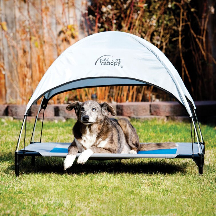 K&h pet shop cot canopy